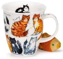 Zeige Details für Dunoon Nevis Messy Cats - zerzauste Katzen Bild von Dunoon Nevis Messy Cats - zerzauste Katzen