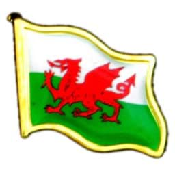 Zeige Details für Wales Flag Shaped Pin Bild von Wales Flag Shaped Pin
