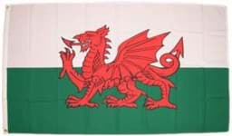 Zeige Details für Wales The Red Dragon 90 x 60 cm Bild von Wales The Red Dragon 90 x 60 cm