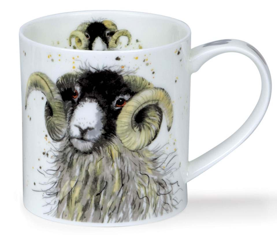 Bild von Dunoon Orkney Shaggy Sheep - Swaledale by Kate Mawdsley