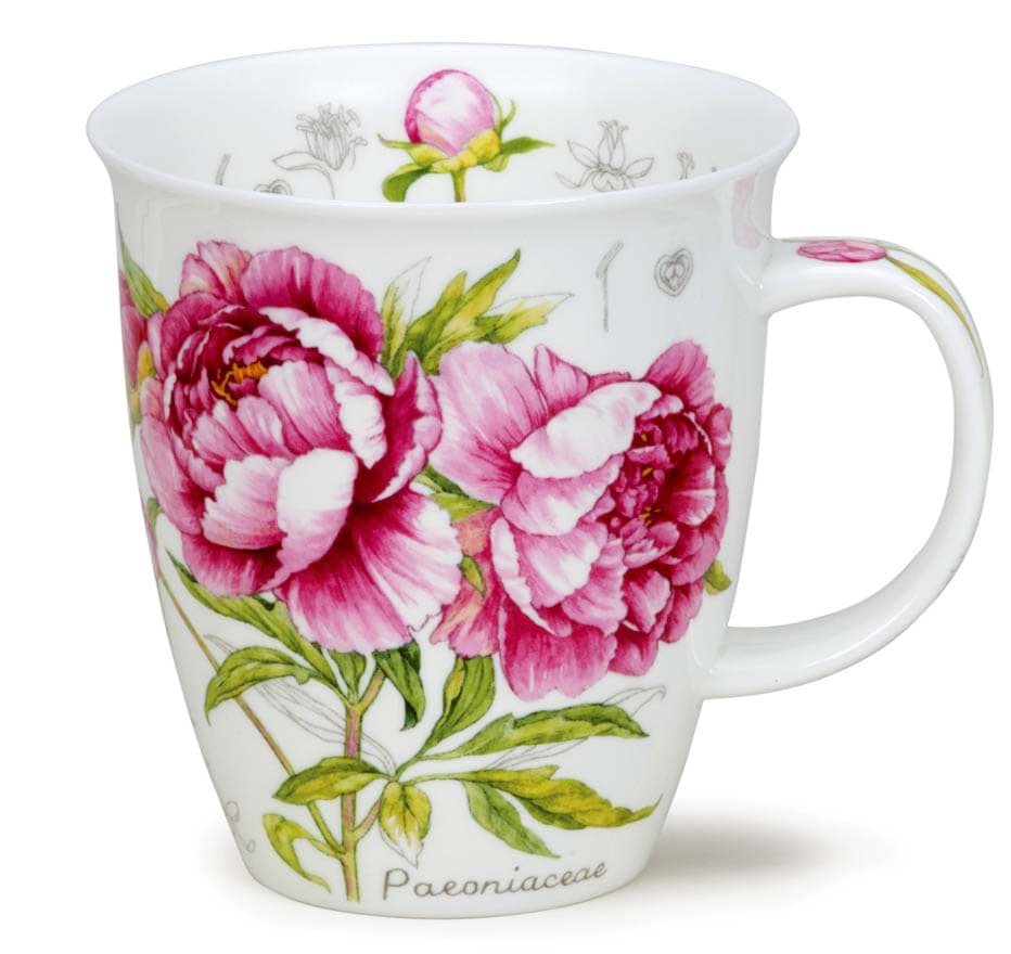 Bild von Dunoon Nevis Botanical Sketch - Peony by Michèle Aubourg